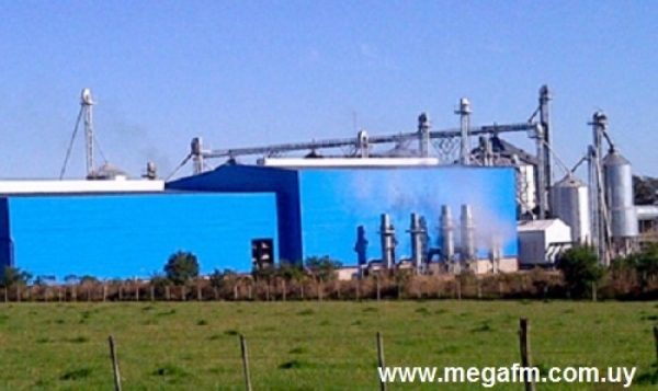 Oferta laboral la empresa PASO DRAGON necesita personal para Administraci&oacute;n/RRHH 5/05/17