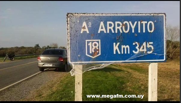 Invasi&oacute;n de ara&ntilde;as en Vergara