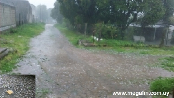 Vergara recibe la primavera 2015 con ca&iacute;da de granizo