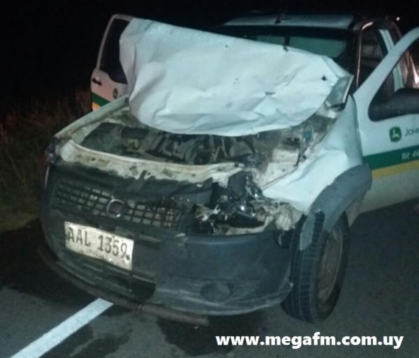 Una camioneta impact&oacute; contra un vacuno en ruta 18 26/06/17