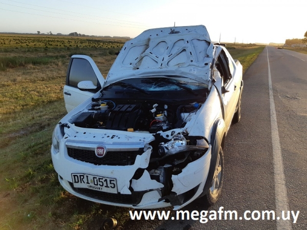 Un equino muri&oacute; en un accidente en ruta 18 proximidades a Rinc&oacute;n 24/07/18