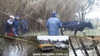 Policía y Bomberos de Vergara rescataron una vaca del arroyo Parao 6/07/16