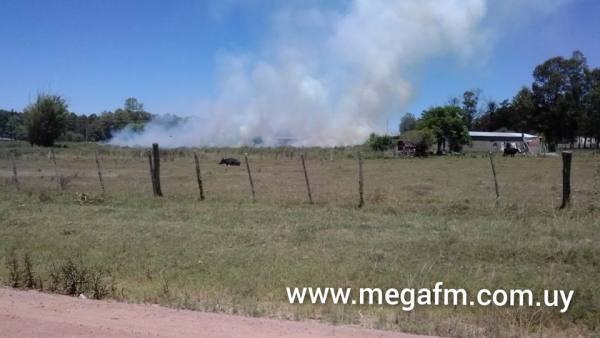 Bomberos de Vergara intervinieron en la ma&ntilde;ana de hoy en un predio en barrio Las chacras 23/12/21