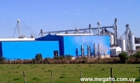 Molino Paso Drag&oacute;n necesita trabajador electricista 24/02/16