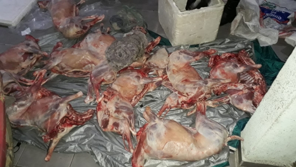 Otro procedimiento se dio el d&iacute;a 21/12, en puesto de control de ruta implementado por la Brigada Departamental de Seguridad Rural 23/12/20