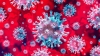 Se confirmaron 7 nuevos casos de Coronavirus en Treinta y Tres llegando a un total de 12 casos 4/05/20
