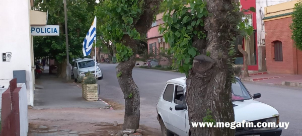 UNAS 2.500 PRENDAS INCAUTADAS POR ADUANAS Y POLIC&Iacute;A EN VERGARA 10/11/21
