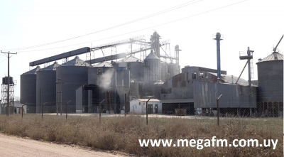 Cierre de Molino Arrozal 33 dejar&aacute; a 49 operarios cesados 11/05/2020