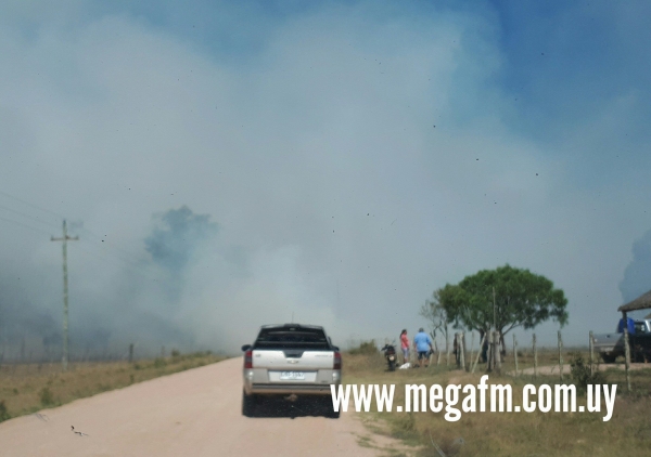 Tres incendios de campo esta tarde en la regi&oacute;n 13/03/18