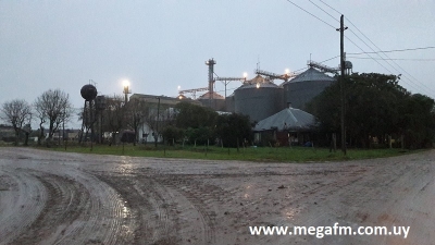 M&aacute;s de 180 obreros de Arrozal 33 ser&aacute;n enviados al seguro 31/05/18