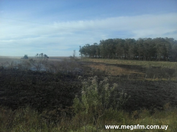 Incendio de campo en Ruta 18 Km. 330 14/11/16