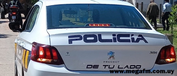 Una persona detenida en la Novena y al menos tres hurtos en las &uacute;ltimas horas 22/11/21