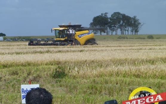 Mega FM en la inauguración de la cosecha de Arroz 2014